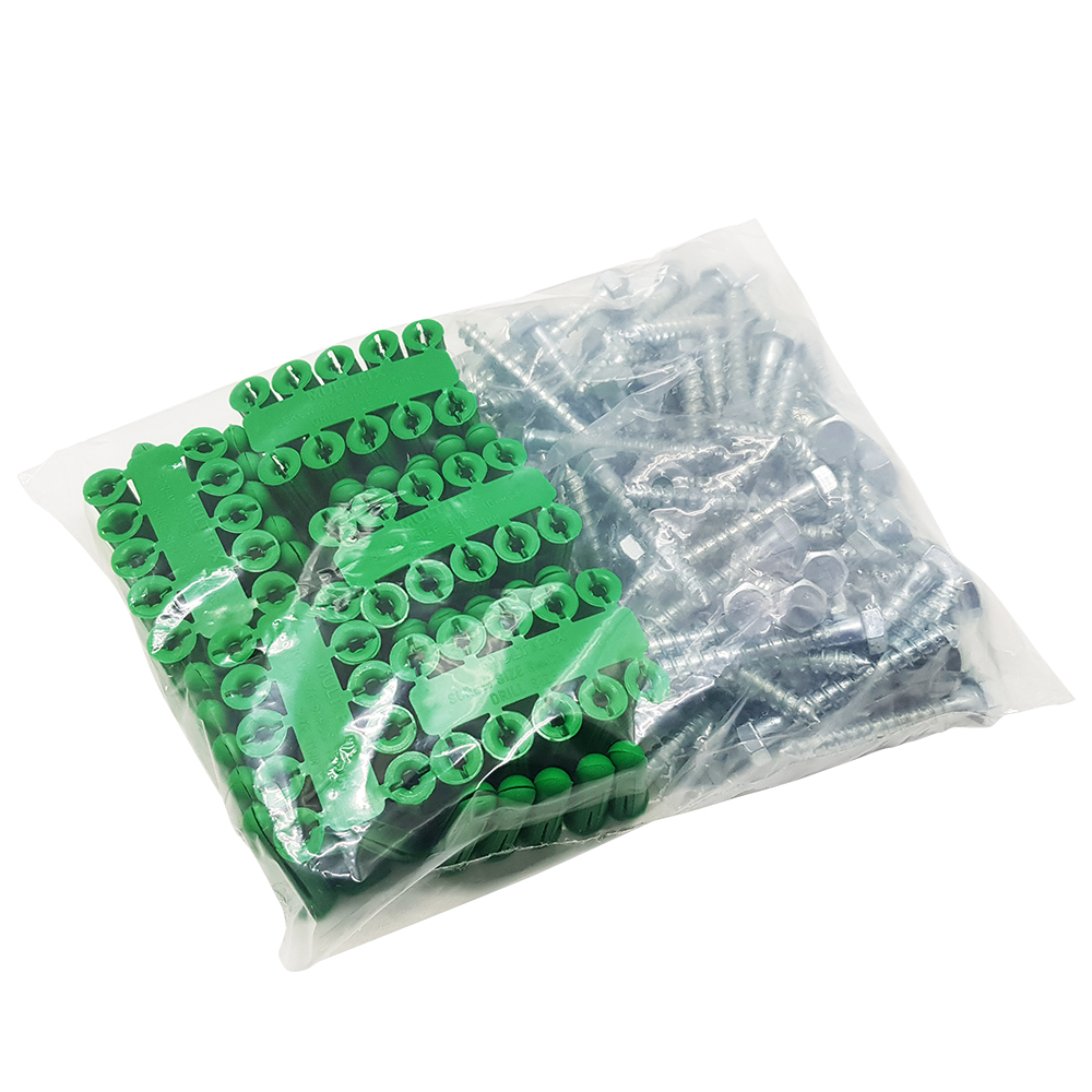 Steel Coach Screws with Wall Plugs x100